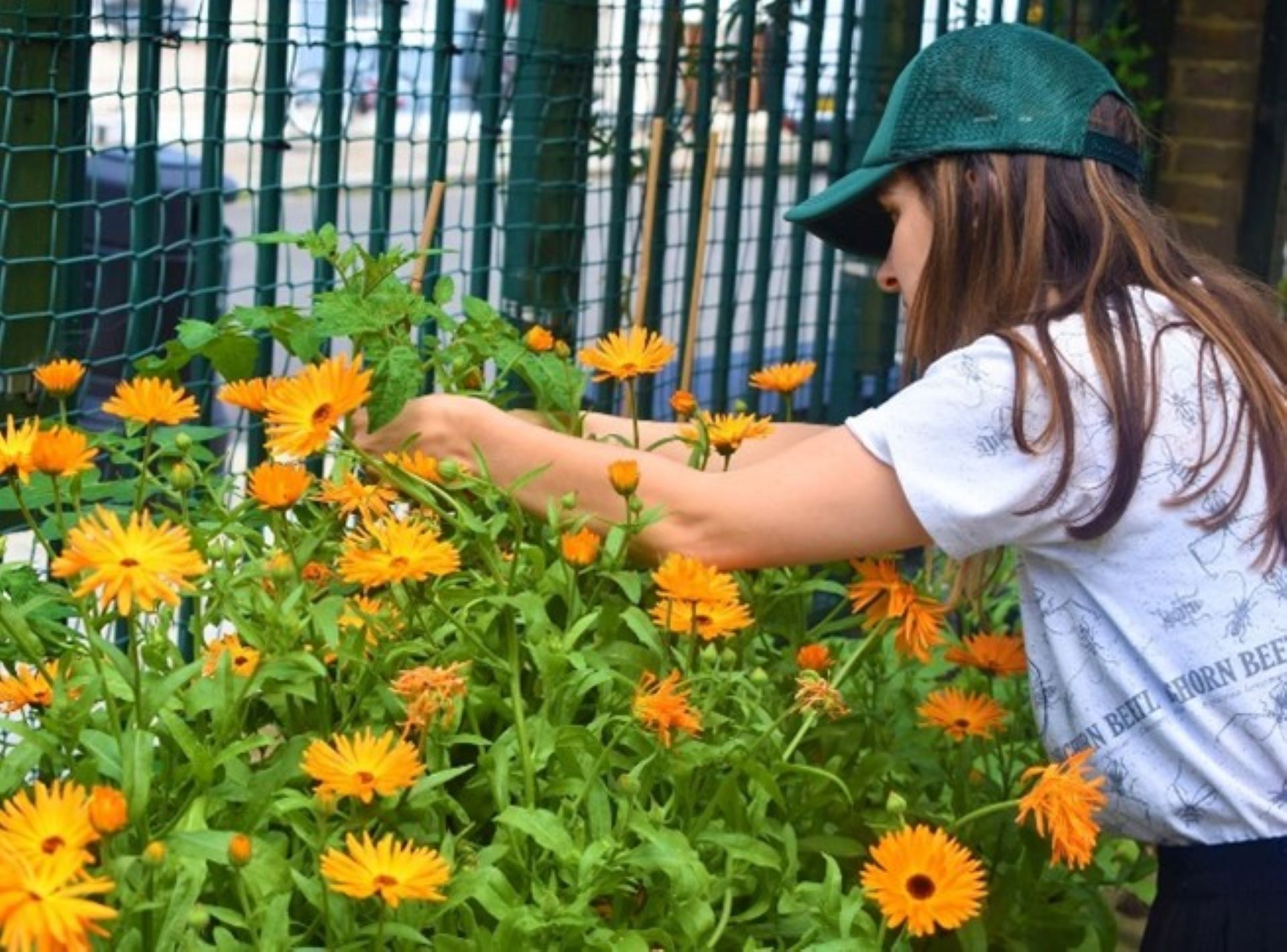 Woman tending to flowers