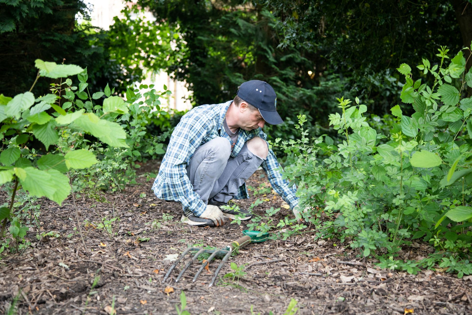 Person gardening